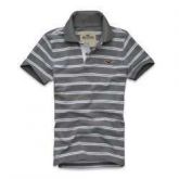 Polo Hollister